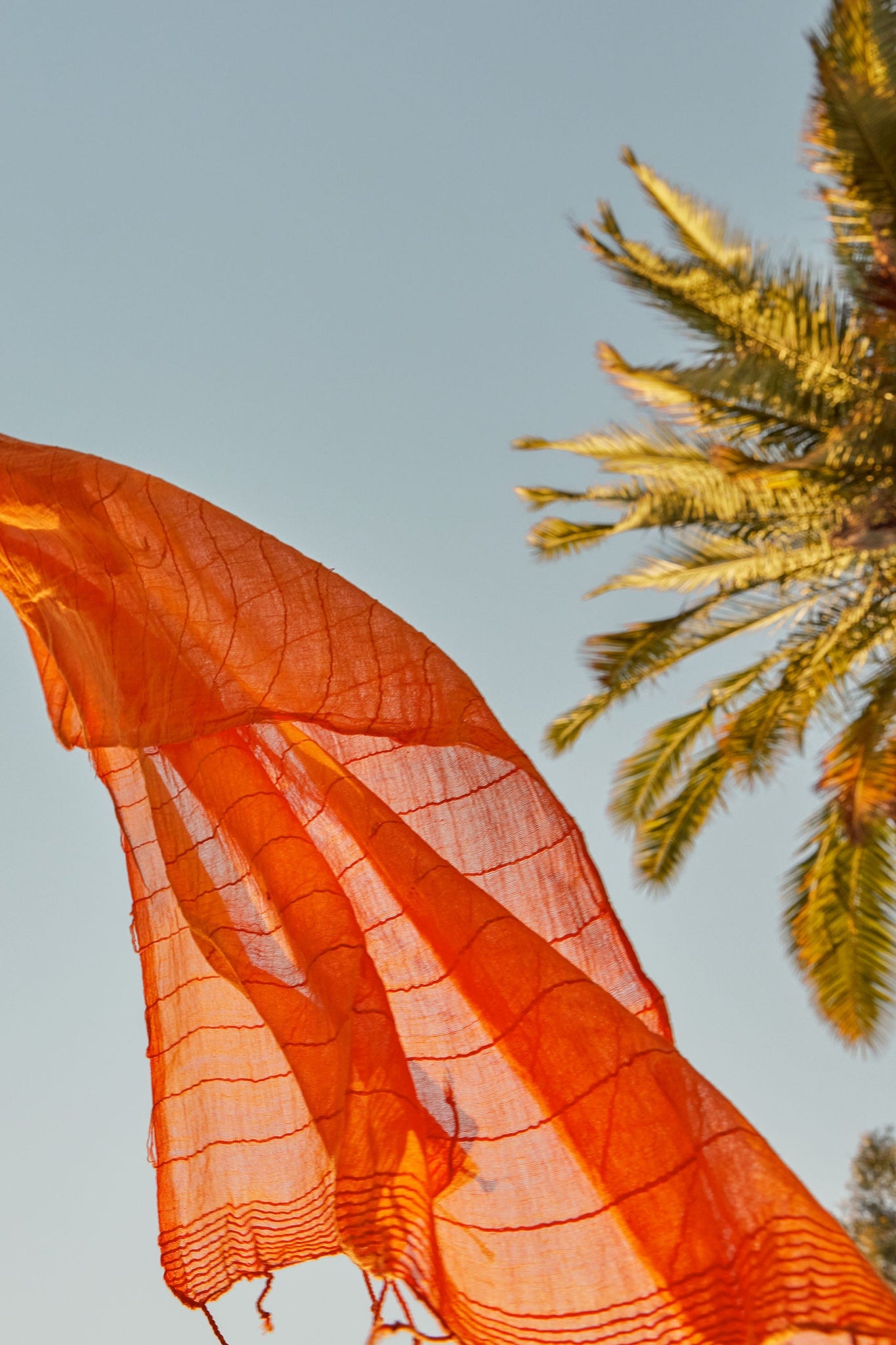 ShopYego Scarf Tangerine Enku Scarf